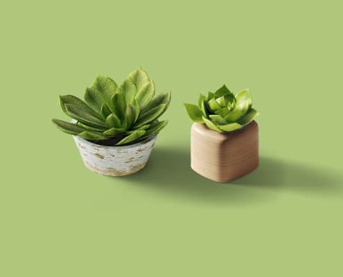 Plants Abogados Derecho y Familia